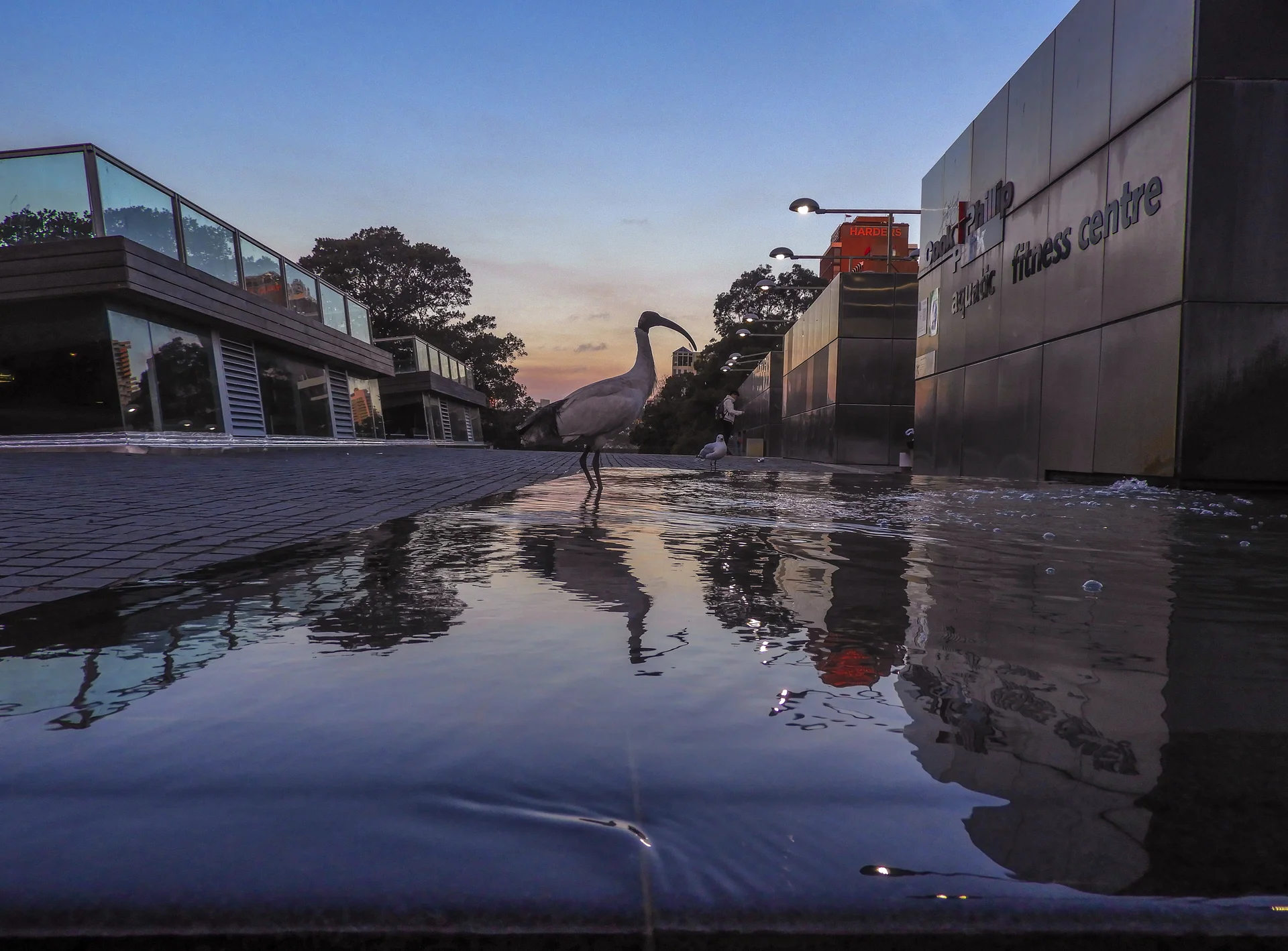 Photography Portfolio - Image 26